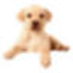 Andrex logo