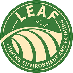 Leaf logo