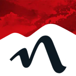 napolina logo