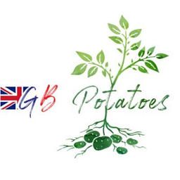 Potato logo